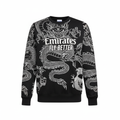 Dragon Sweatshirt Front View
